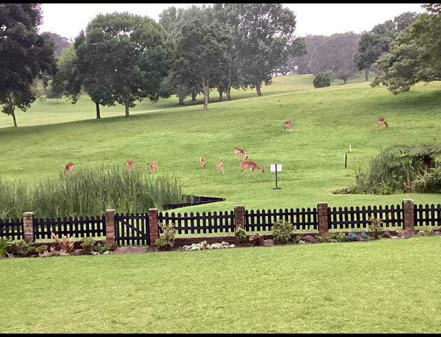 1 BEDROOM APARTMENT RENTED IN CAMELOT GOLF CLUB AND ESTATE